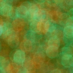 Bokeh-491